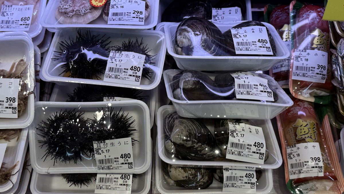 キテネ食品館 月寒店 鮮魚ケース（生うに480円・ツブ・ホッキ）