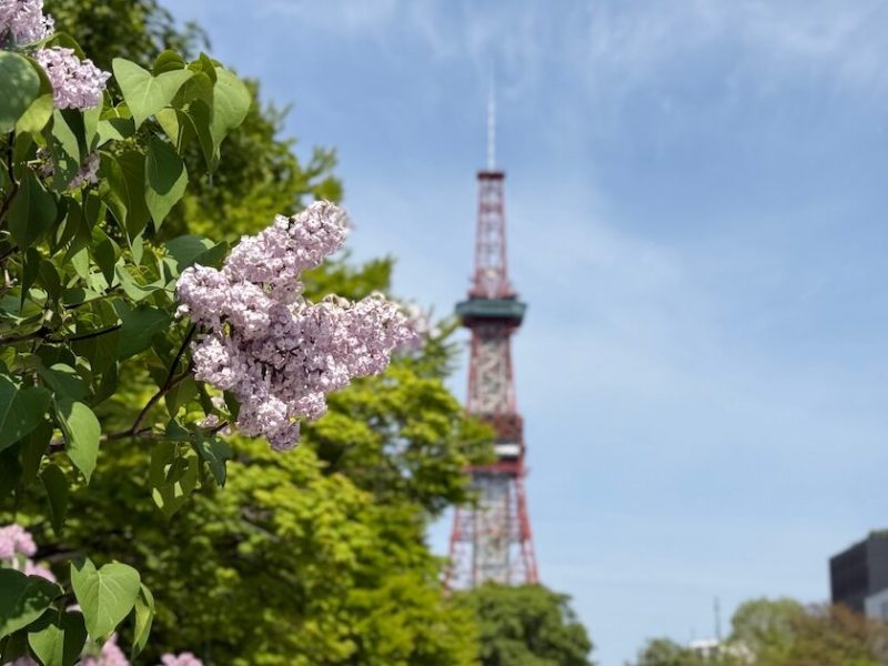 リニューアルに寄せて