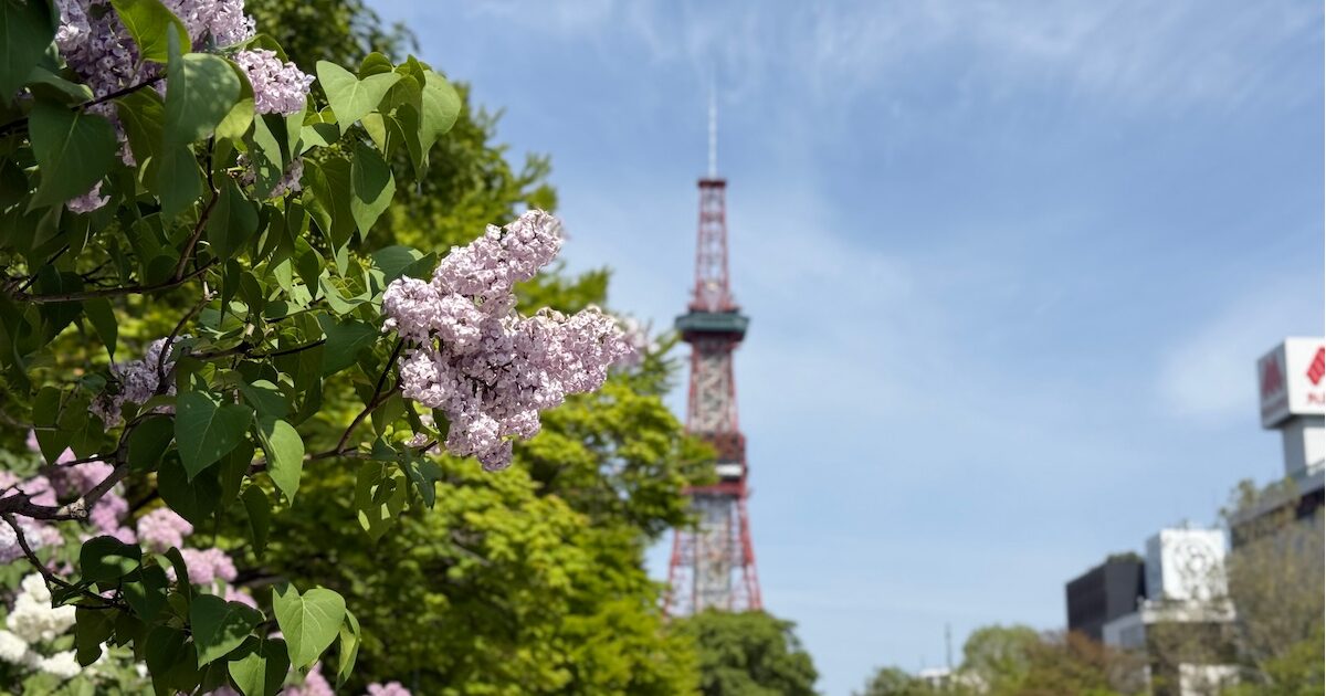 リニューアルに寄せて